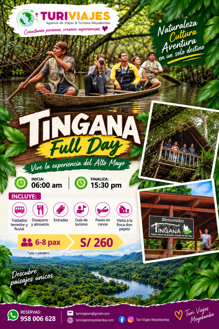 tingana full day