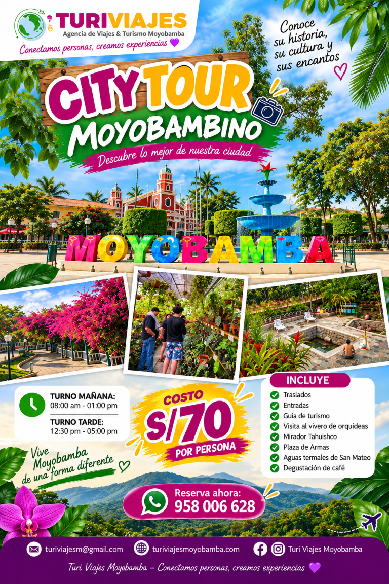city tourmoyobambino