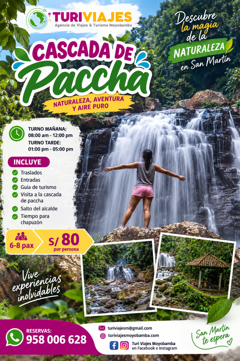 paccha