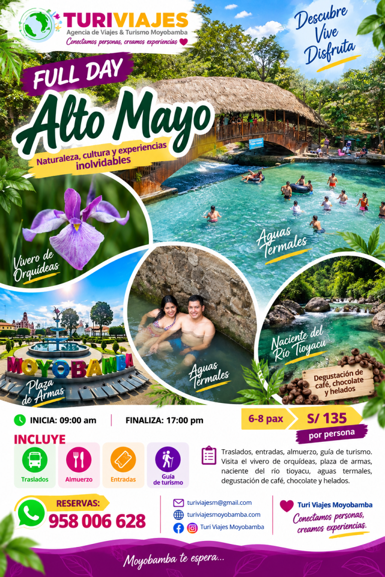 full day alto mayo